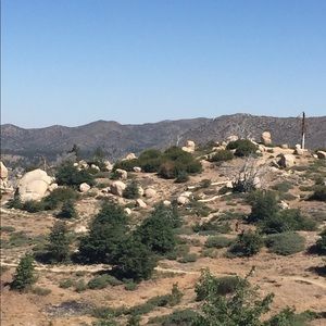 Meet your Posher, Krerica